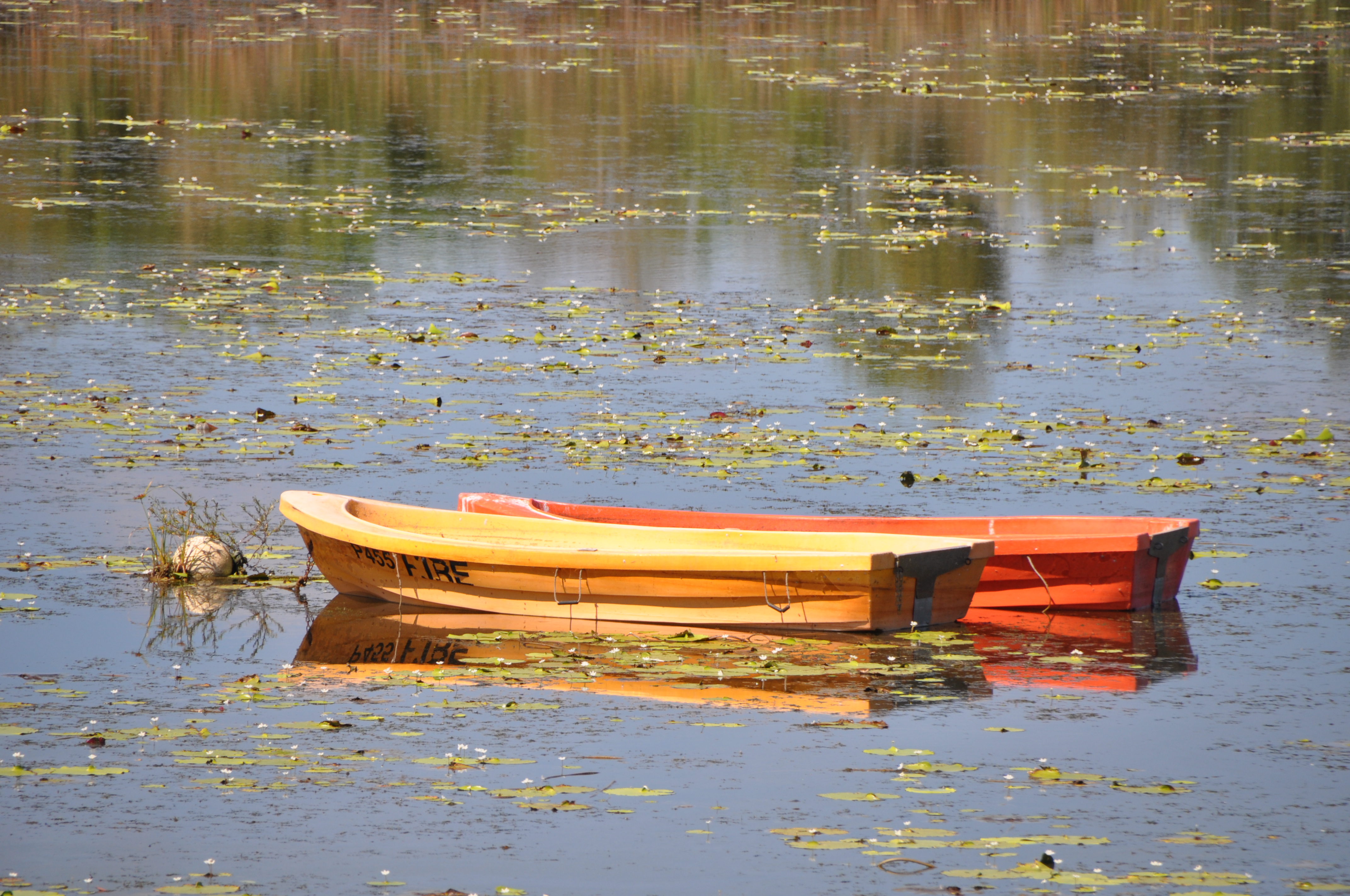 Image of Lily Creek Lagoon in Kununurra before you start the Gibb River Road