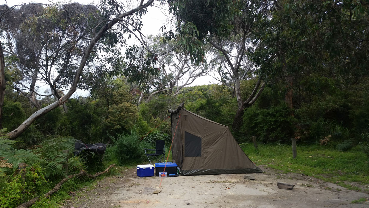 The huge bush site at Blanket Bay