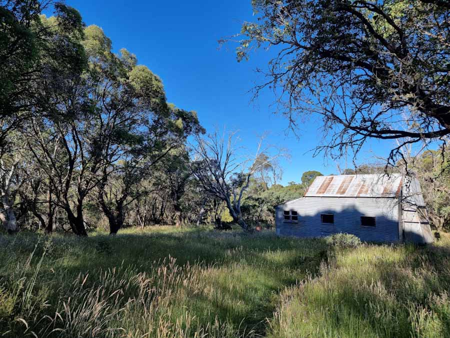 A metal hut surrounded by grassland and bush you can walk to from the bucket plains campground