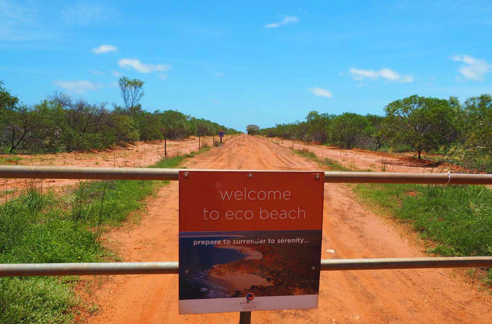 The road to Jacks Bar and Restaurant - getting there is half the adventure!