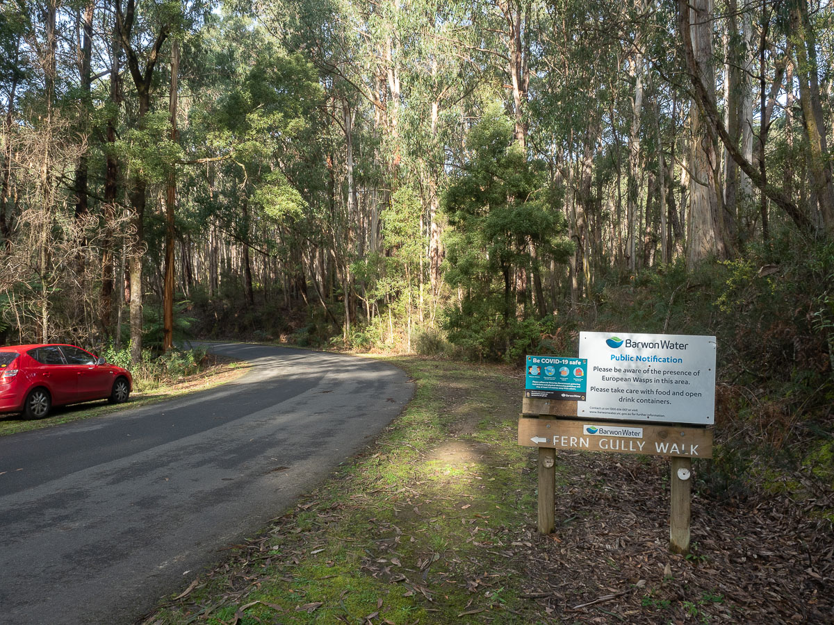 A road winding to the left, surrounded by trees showing a sign pointing to the fern gully walk to the left of the road.