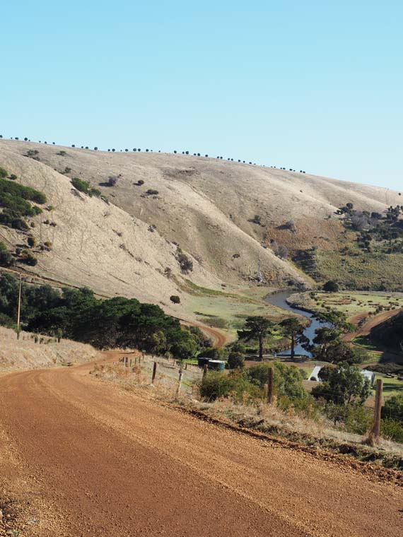 A view of the winding country drive down into Western River Cove