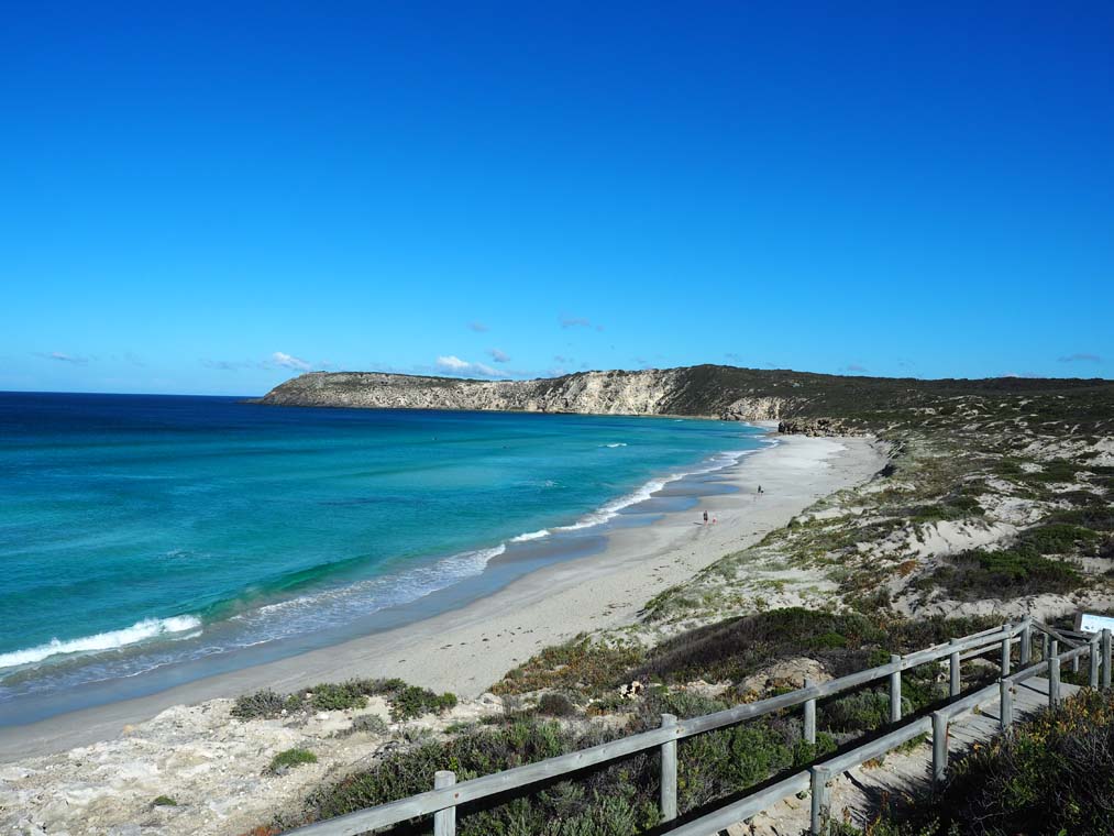 A view of Pennington Beach from the carpark