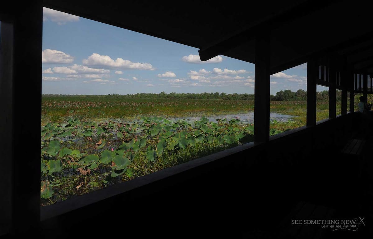 Mamukala Wetlands in Kakadu National Park | 200m & Wheelchair accessible