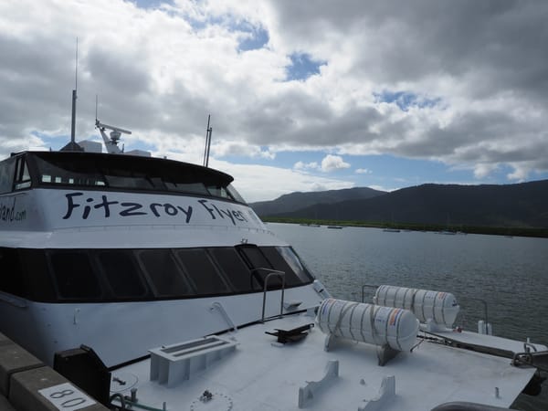 8 Hour Fitzroy Island Day Trip