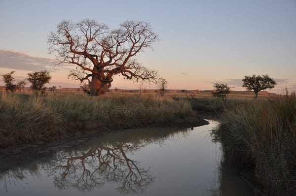 Boab-and-River-Kimberley