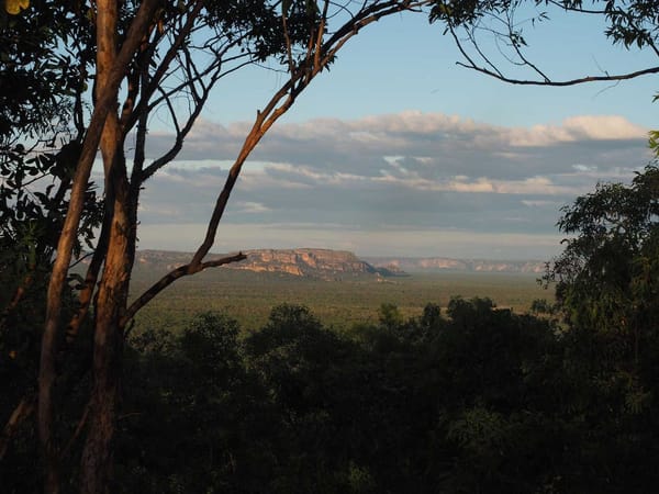 Kakadu Walks | Mirrai Lookout Track Notes