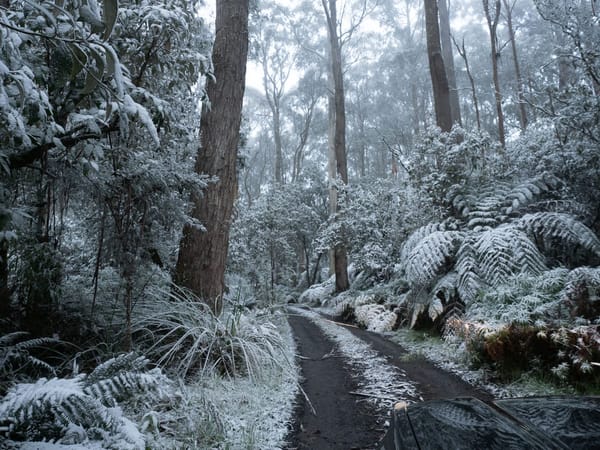 How and where to find snow in the Otways
