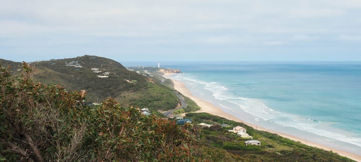 Ocean View Lookout Walks on the Great Ocean Road | Track Notes with Photos -  Dog Friendly