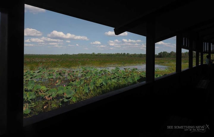 Mamukala Wetlands in Kakadu National Park | 200m & Wheelchair accessible