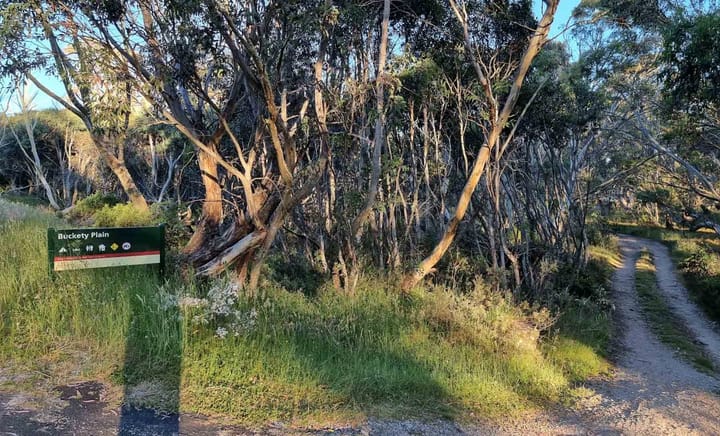 Buckety Plains Campground notes and photos