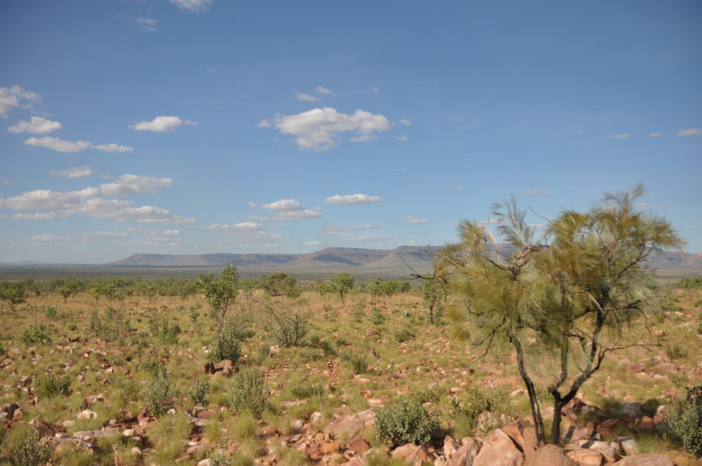 The Spectacular view out over Home Valley Station from their secret lookout! Visit it while driving the Gibb River Road