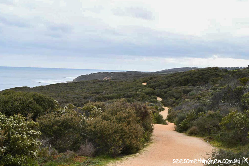 The 44km Surf Coast walk is a bushwalk along pristine coast, popular beaches and iconic towns of the Great Ocean Road. With 12 different sections you can choose the length and section of coast that suits you best! | By See Something New