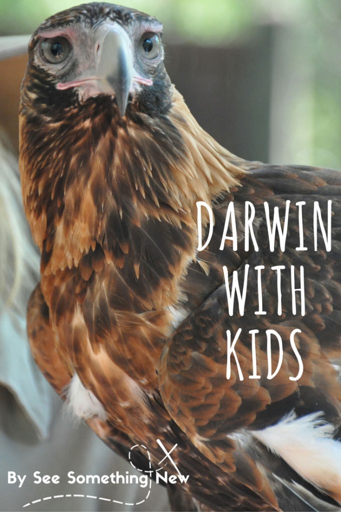 Darwin with kids - Ideas for things to do and places to visit with kids in Darwin | Follow @seesomethingnew for more Australian holiday ideas
