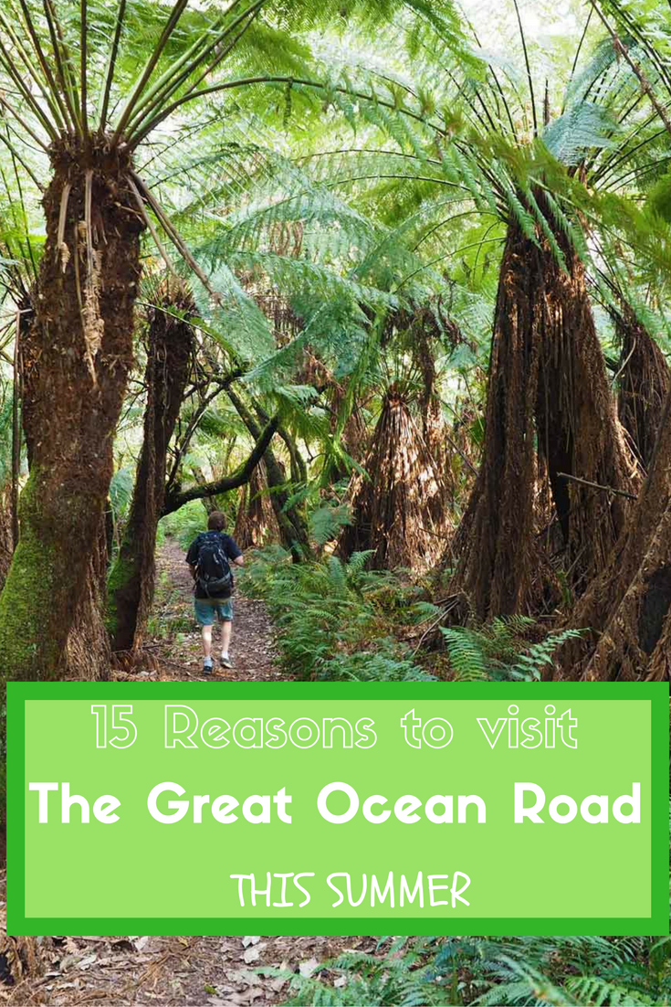 15 Reasons to visit the Great Ocean Road in Summer by See Something New