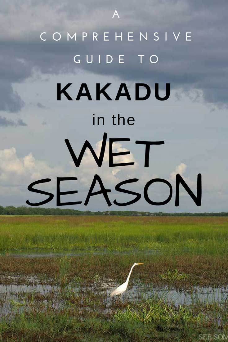 A 7000 word guide to the wild and beautiful wet season in Kakadu National Park. 