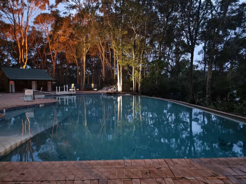 Pool at sunset surrounded by gum trees, one with trunk lit up